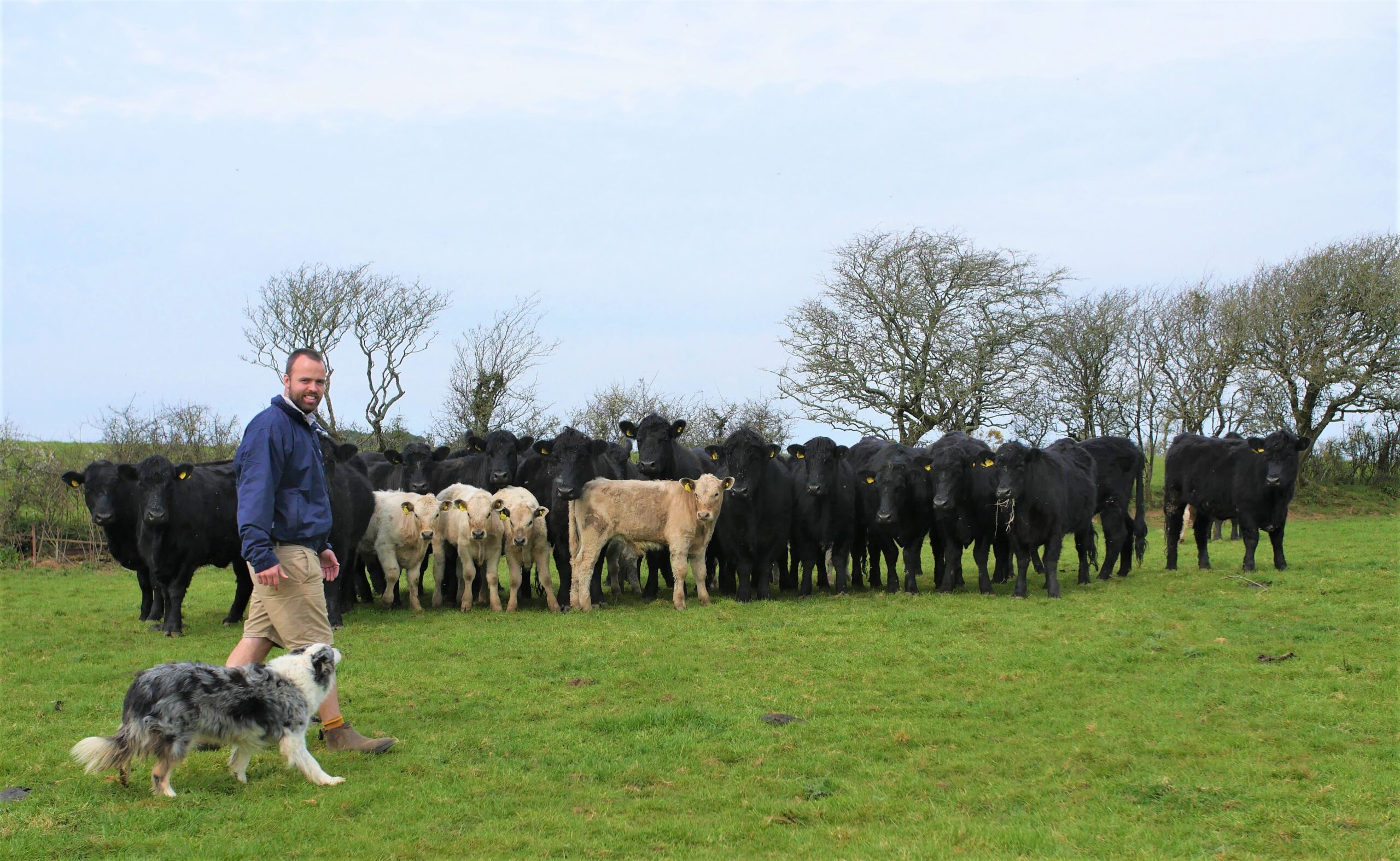 dave with his dog and cattle in the background