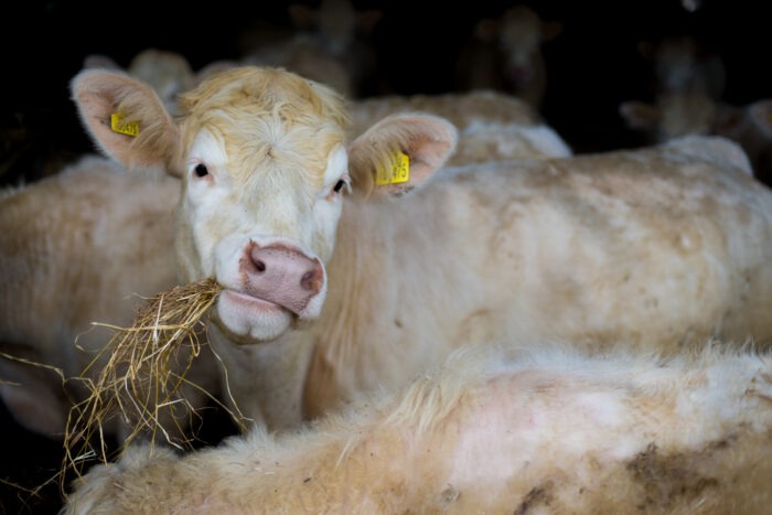 Farming in Protected Landscapes