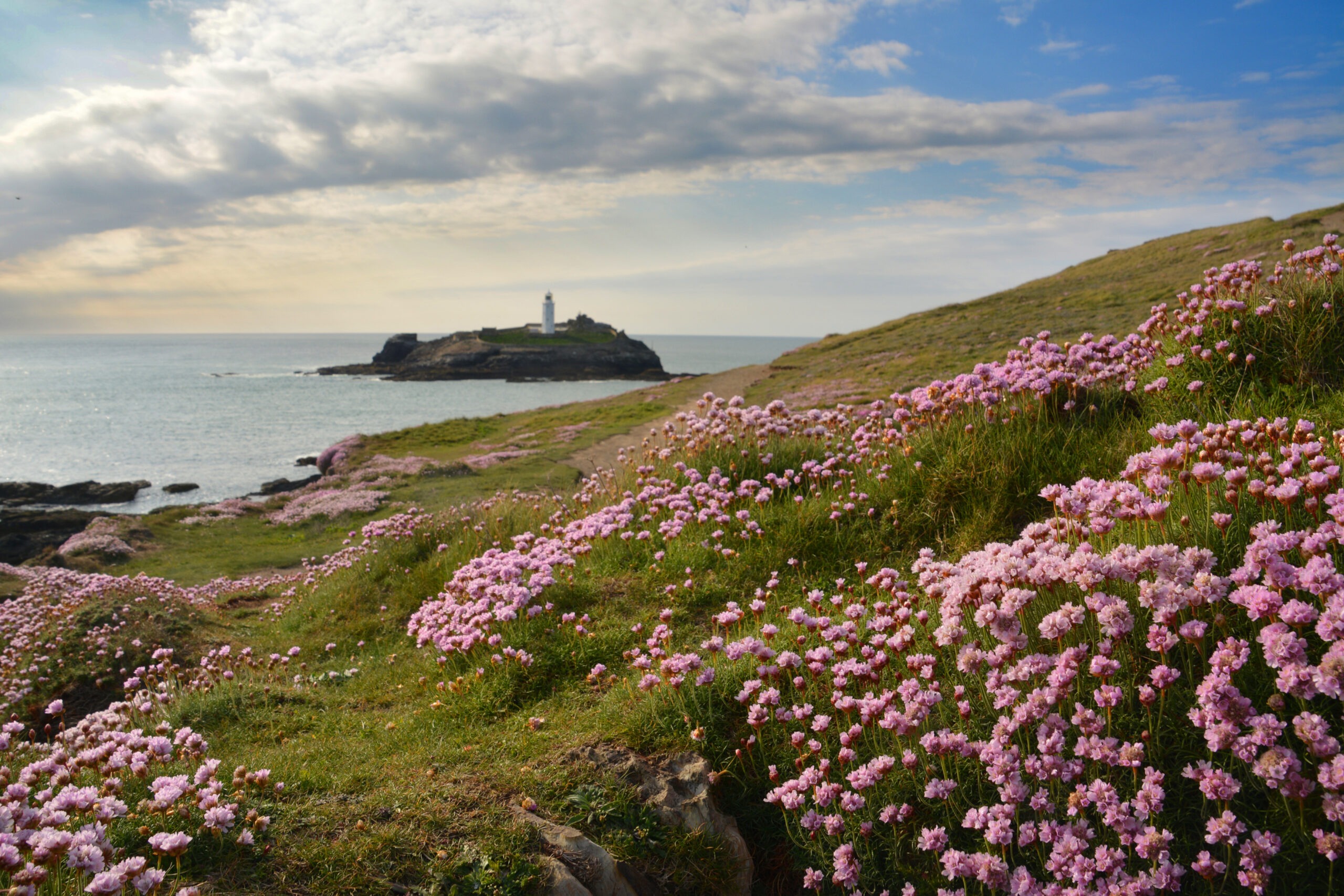https://cornwall-landscape.org/wp-content/uploads/2023/10/Section-6-Godrevy-to-Portreath-48-Mary-Poad-Thrift-covered-cliffs-at-Godrevy-scaled.jpg