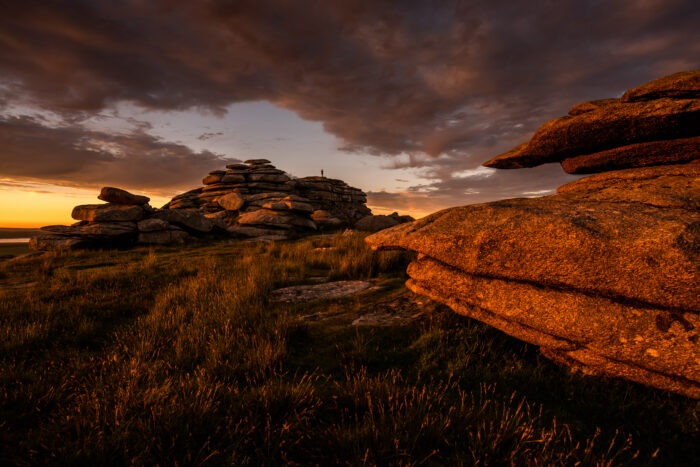 Bodmin Moor Peatland Partnership