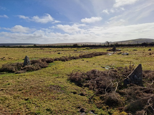 Emblance Downs Stone Circles