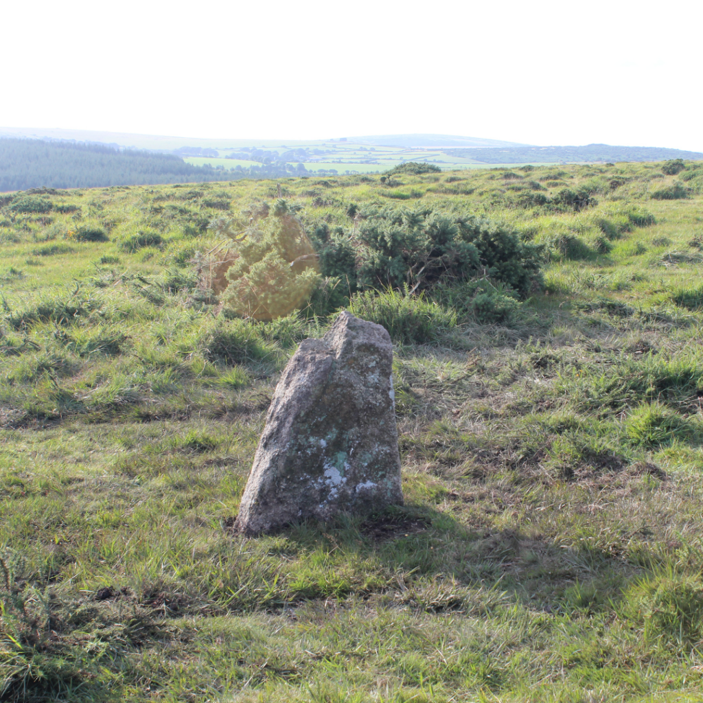 Fox Tor Stone Alignment standing stone