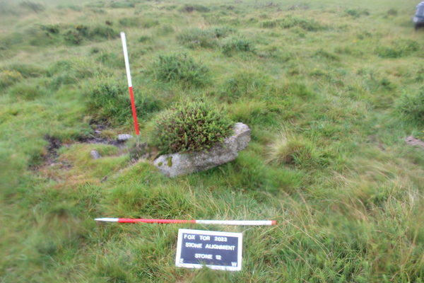 Fox Tor Stone before