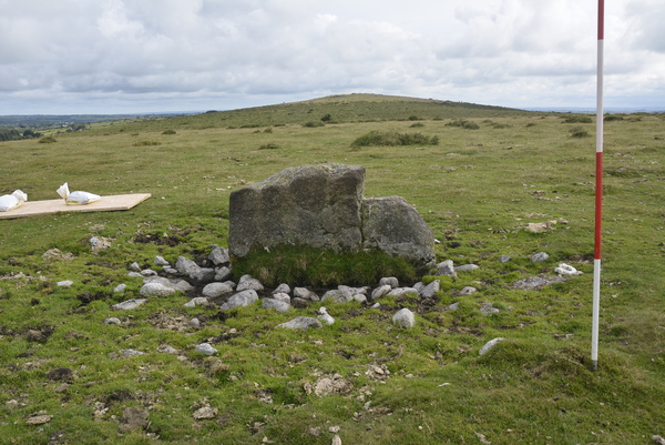 Fox Tor Stone before