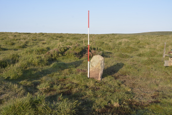 Fox Tor Stone after