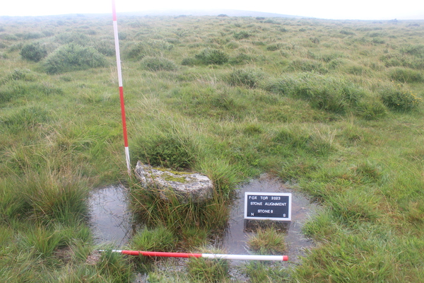 Fox Tor before