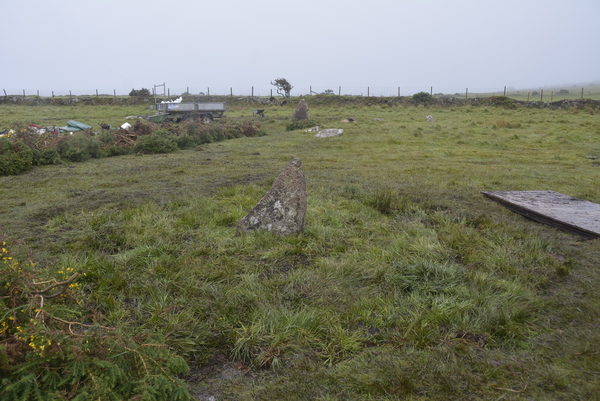 Emblance Downs Stone Circles