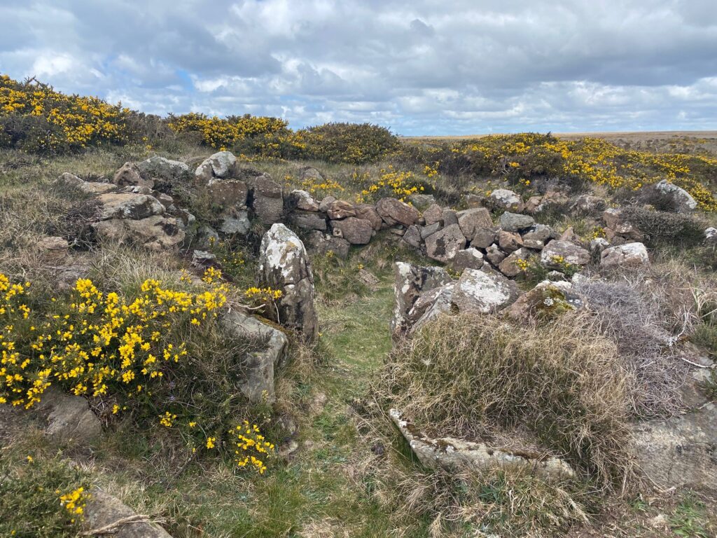 Kynance gate hut circles