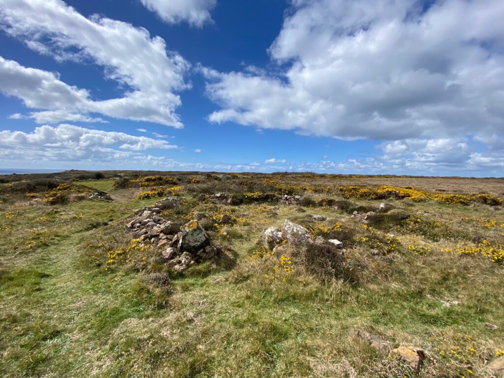 Kynance gate hut circles