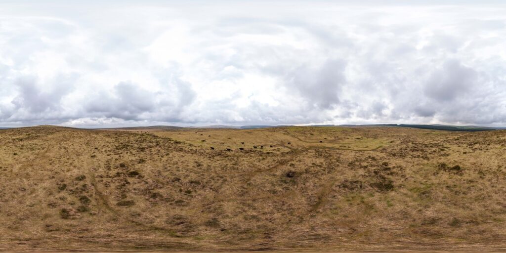 panorama with its uneven terrain and scattered vegetation