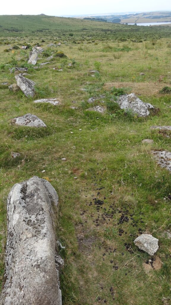 Bearah Tor Boundaries