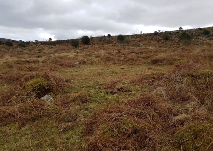 Trewortha Farm Hut Circles