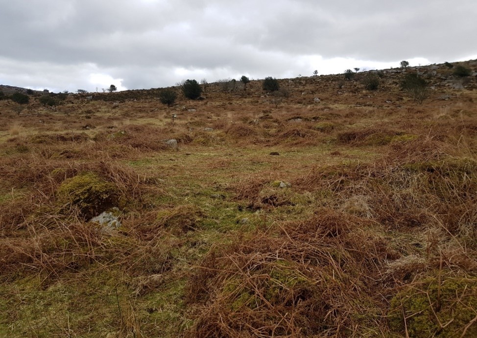 Trewortha Farm Hut Circles