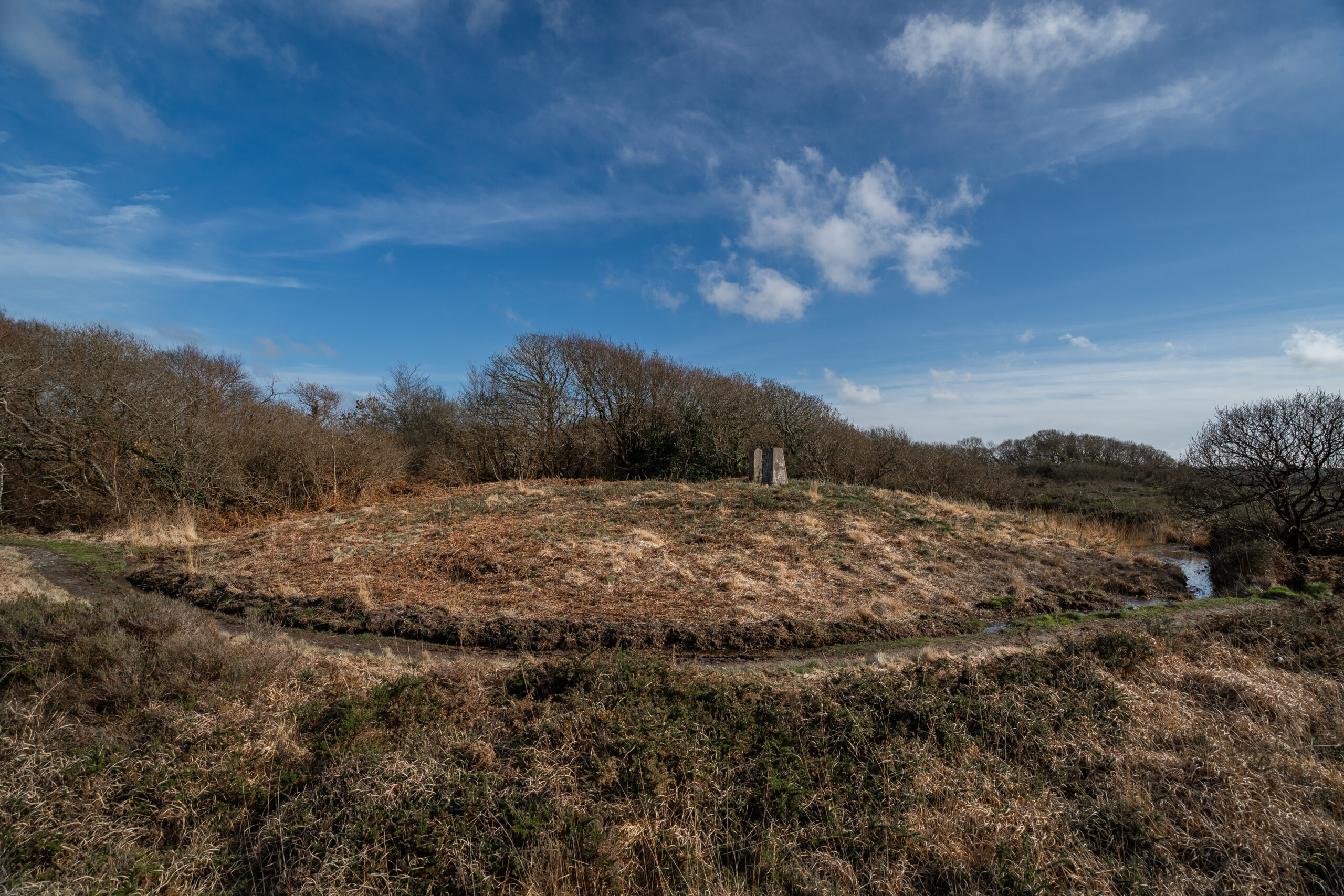 Goonhilly Barrows