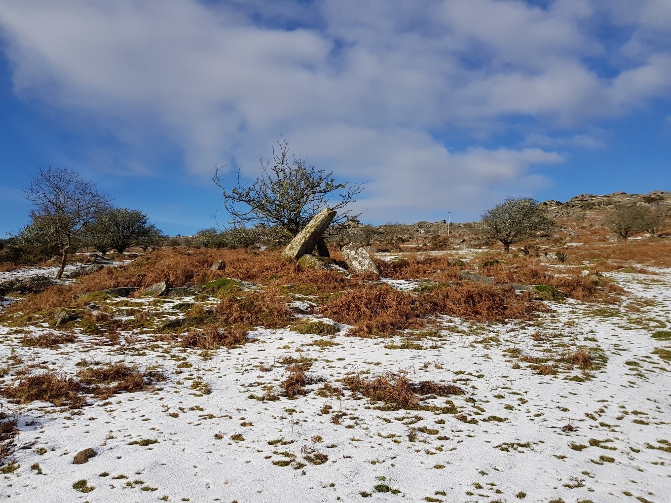 Blackcoombe Farm Long Cairn