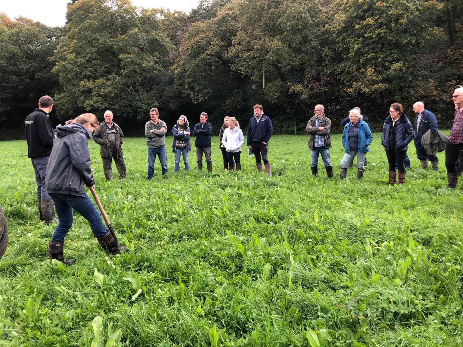 Volunteer with Cornwall National Landscape